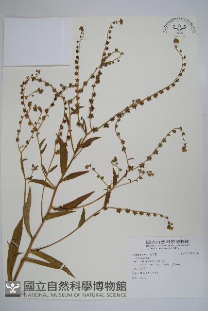 登錄號:S120783藏品圖，第1張