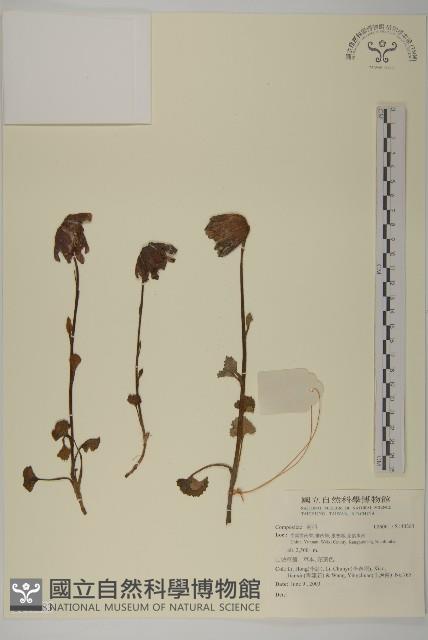 登錄號:S140283藏品圖，第1張