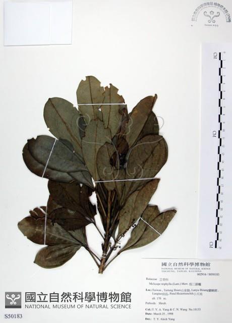 假三腳虌藏品圖，第1張