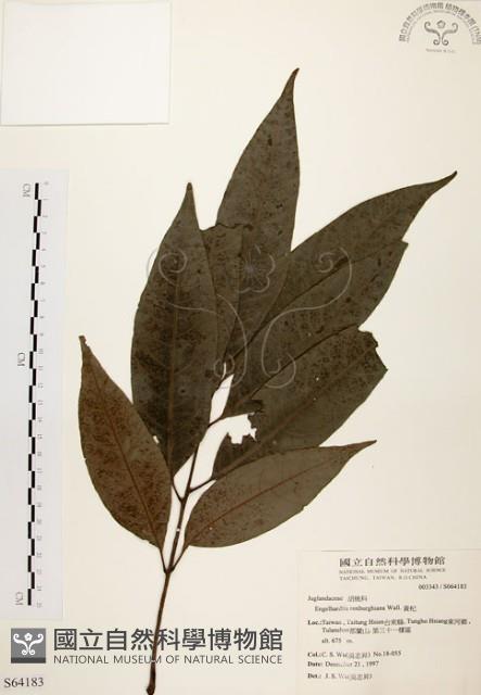 黃杞藏品圖，第1張