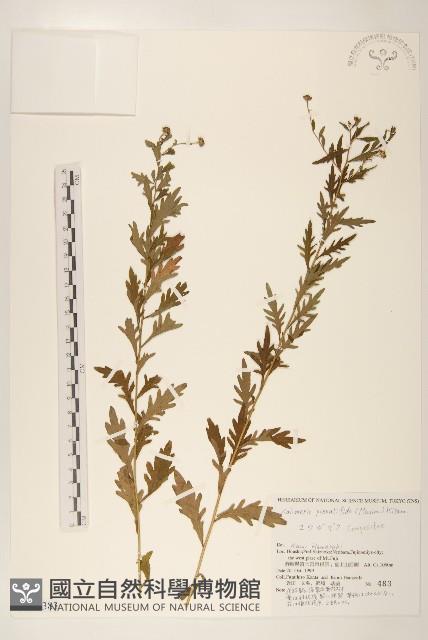 登錄號:S144383藏品圖，第1張