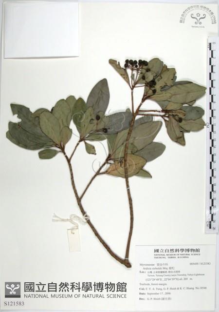 樹杞藏品圖，第1張