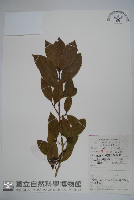 登錄號:S053583藏品圖，第1張