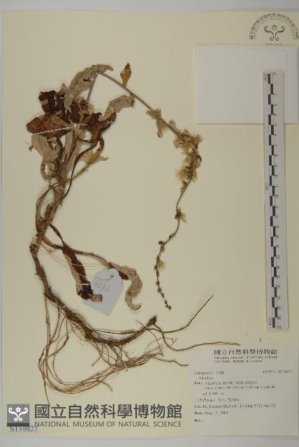 登錄號:S138027藏品圖，第1張