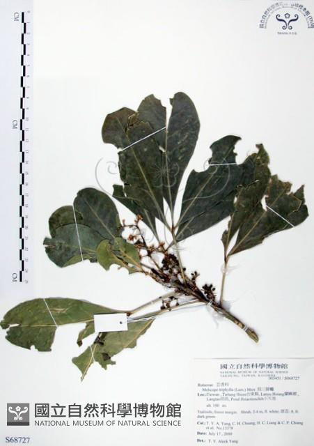 假三腳虌藏品圖，第1張