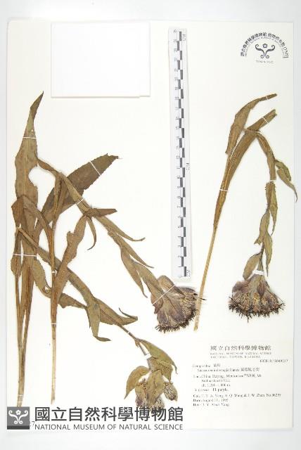 Accession Number:S049227 Collection Image, Figure 1, Total 2 Figures