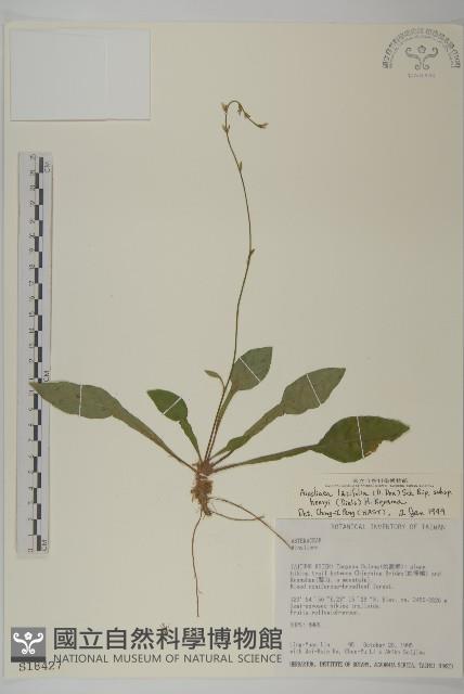 臺灣鬼督郵藏品圖，第1張