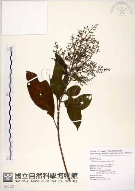 水金京藏品圖，第1張