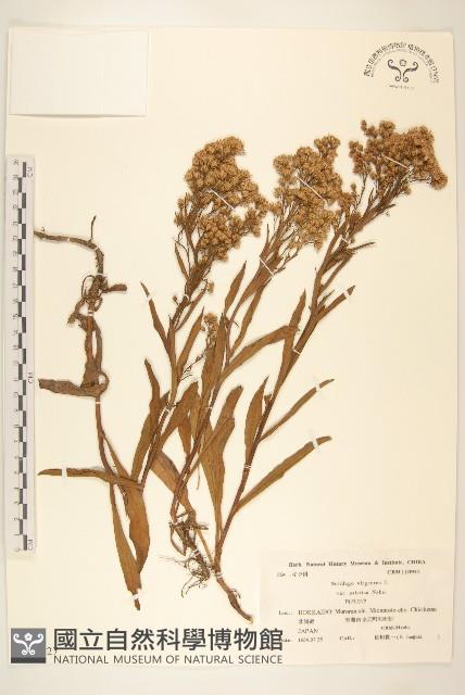 登錄號:S039927藏品圖，第1張