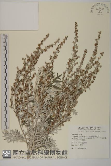 Accession Number:S078007 Collection Image, Figure 1, Total 2 Figures