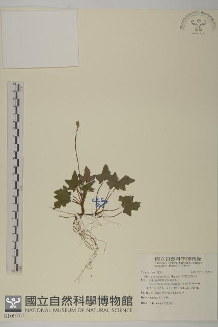 中原氏鬼督郵藏品圖，第1張