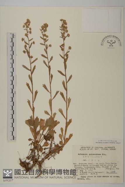 登錄號:S049207藏品圖，第1張