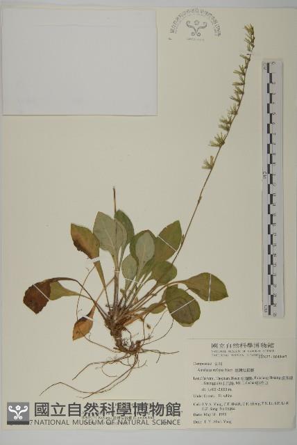 Accession Number:S049407 Collection Image, Figure 1, Total 3 Figures