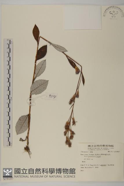 登錄號:S059107藏品圖，第1張