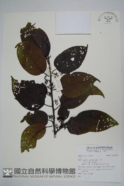 登錄號:S128307藏品圖，第1張