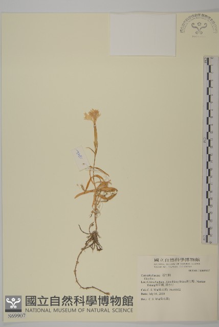 登錄號:S069907藏品圖，第1張