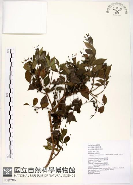 十子木、加入舅藏品圖，第1張