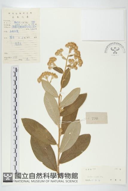 Accession Number:S038507 Collection Image, Figure 1, Total 3 Figures