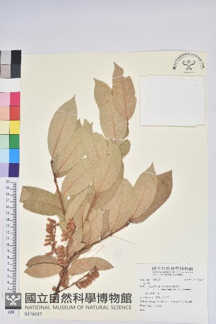 登錄號:S138017藏品圖，第1張