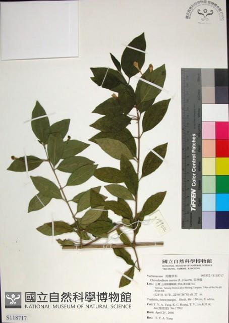 苦林盤藏品圖，第1張