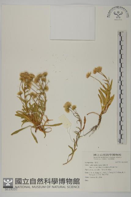 登錄號:S119357藏品圖，第1張