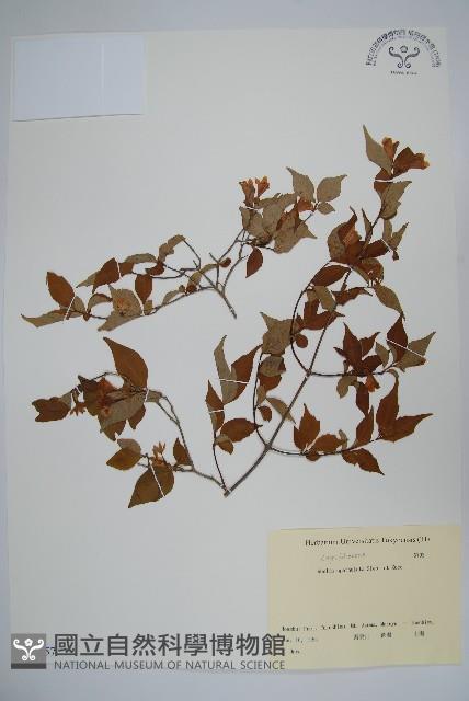 登錄號:S081957藏品圖，第1張