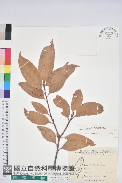 登錄號:S159557藏品圖，第1張