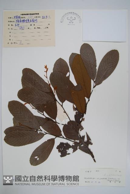 Accession Number:S038557 Collection Image, Figure 1, Total 2 Figures