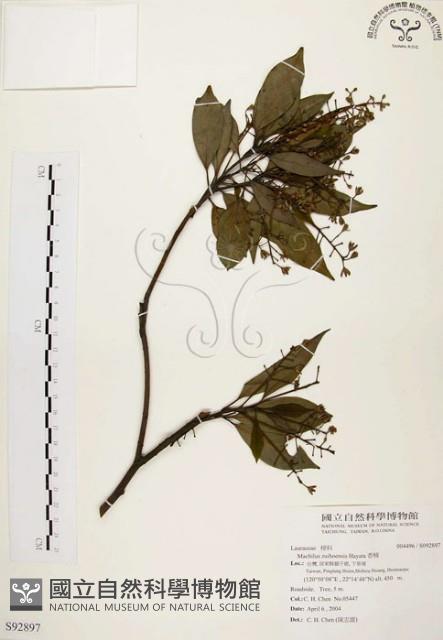 香楠藏品圖，第1張