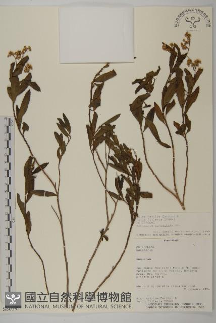 登錄號:S080597藏品圖，第1張