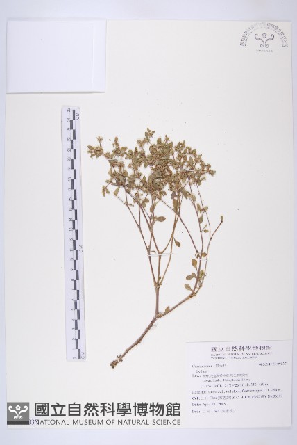 登錄號:S109037藏品圖，第1張