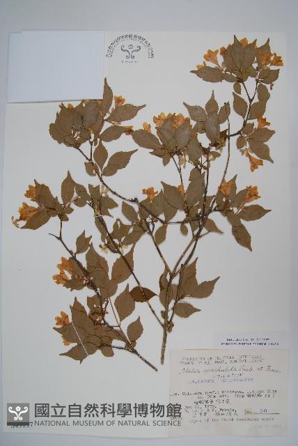 登錄號:S049137藏品圖，第1張