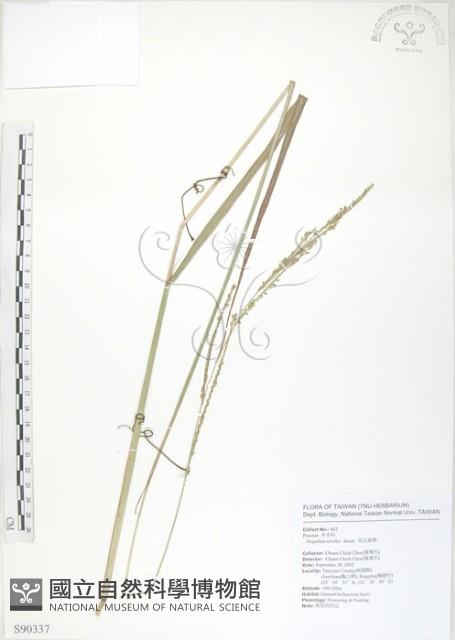 吳氏雀稗藏品圖，第1張