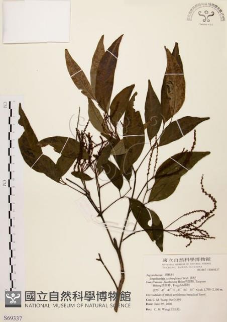 黃杞藏品圖，第1張