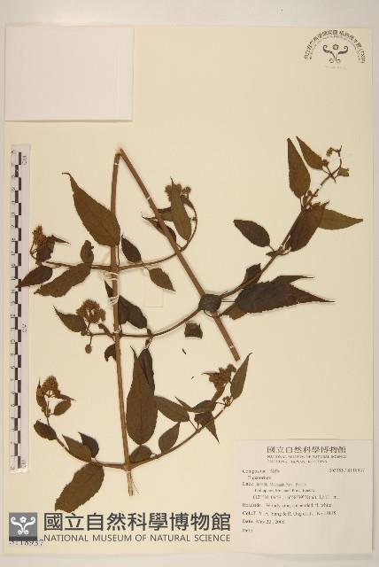 登錄號:S118937藏品圖，第1張