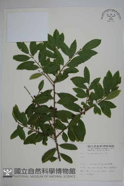 登錄號:S009067藏品圖，第1張