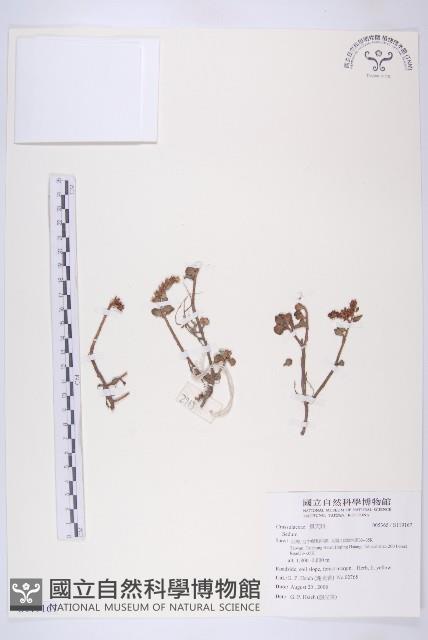 登錄號:S119167藏品圖，第1張