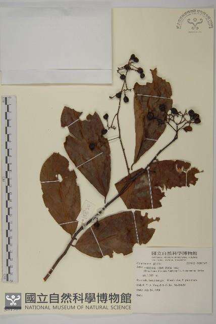 登錄號:S081367藏品圖，第1張