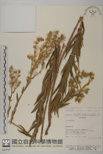 登錄號:S080567藏品圖，第1張