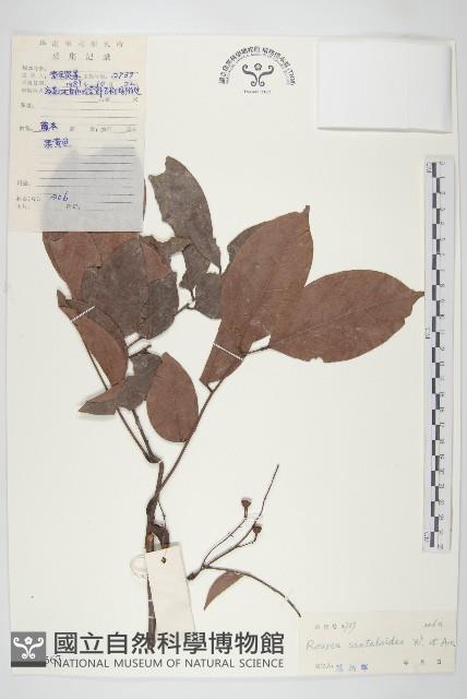 登錄號:S029567藏品圖，第1張