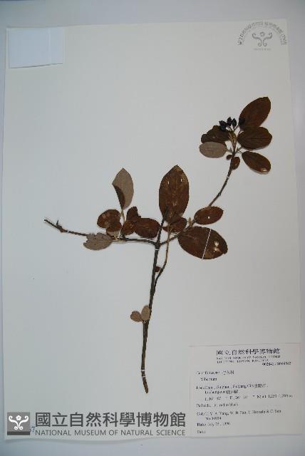 登錄號:S049567藏品圖，第1張