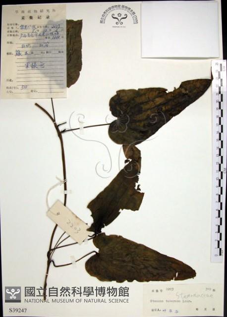 百部藏品圖，第1張