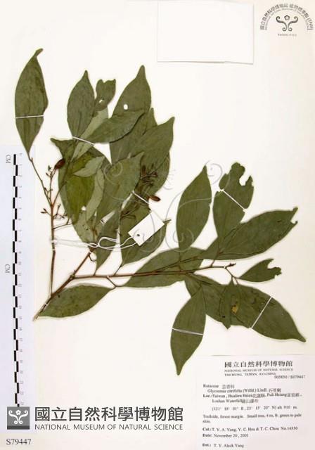 石苓舅藏品圖，第1張