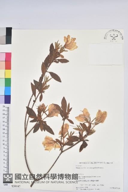 登錄號:S058447藏品圖，第1張