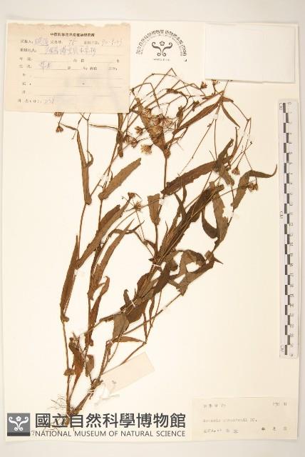 閩粵千里光藏品圖，第1張