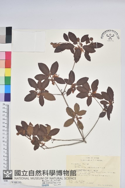 登錄號:S181777藏品圖，第1張