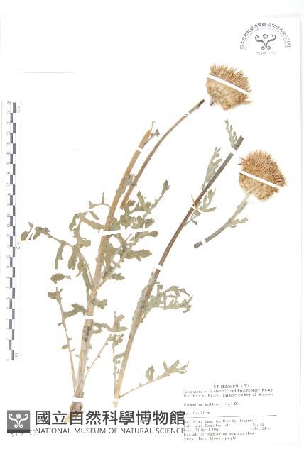 祁州漏盧藏品圖，第1張