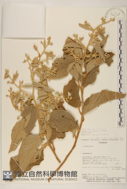 登錄號:S080687藏品圖，第1張