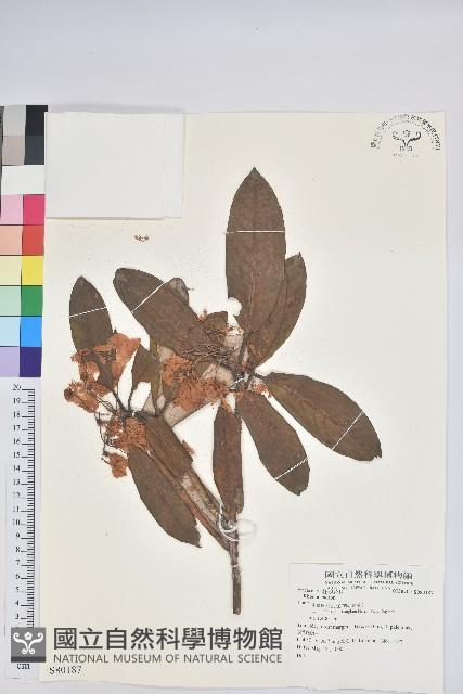 登錄號:S080187藏品圖，第1張