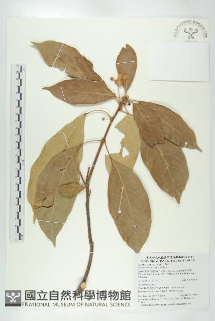 猴歡喜藏品圖，第1張